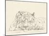Cat Nap II-Ethan Harper-Mounted Art Print