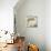Cat Nap-Sandra Jacobs-Art Print displayed on a wall