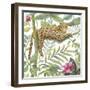 Cat Nap-Sandra Jacobs-Framed Art Print