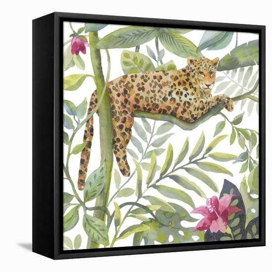 Cat Nap-Sandra Jacobs-Framed Stretched Canvas