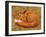 Cat-Napping, 1997-Ditz-Framed Giclee Print