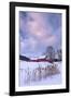 Cat O'Nine In Snow-Michael Blanchette Photography-Framed Photographic Print