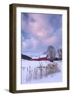 Cat O'Nine In Snow-Michael Blanchette Photography-Framed Photographic Print