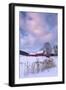 Cat O'Nine In Snow-Michael Blanchette Photography-Framed Photographic Print