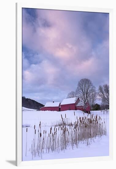 Cat O'Nine In Snow-Michael Blanchette Photography-Framed Photographic Print