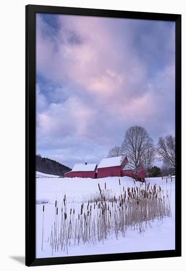 Cat O'Nine In Snow-Michael Blanchette Photography-Framed Photographic Print