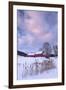 Cat O'Nine In Snow-Michael Blanchette Photography-Framed Photographic Print