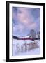 Cat O'Nine In Snow-Michael Blanchette Photography-Framed Photographic Print