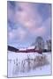 Cat O'Nine In Snow-Michael Blanchette Photography-Mounted Photographic Print