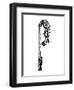 Cat-o’-nine-tails Used For Flogging-George Alfred Williams-Framed Art Print