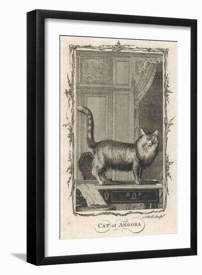 Cat of Angora-A Bell-Framed Art Print