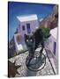 Cat of Greece (Chat de Grece)-Isy Ochoa-Stretched Canvas