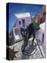 Cat of Greece (Chat de Grece)-Isy Ochoa-Stretched Canvas