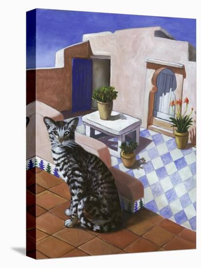 Cat of Morocco (Chat Du Maroc)-Isy Ochoa-Stretched Canvas