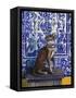 Cat of Portugal (Chat Du Portugal)-Isy Ochoa-Framed Stretched Canvas