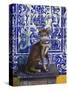 Cat of Portugal (Chat Du Portugal)-Isy Ochoa-Stretched Canvas