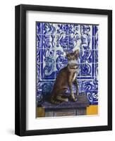 Cat of Portugal (Chat Du Portugal)-Isy Ochoa-Framed Giclee Print