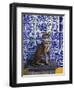 Cat of Portugal (Chat Du Portugal)-Isy Ochoa-Framed Giclee Print