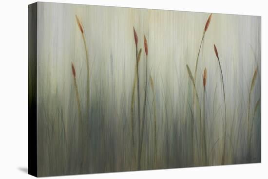 Cat of Seven Tails-Kari Taylor-Stretched Canvas