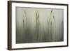 Cat of Seven Tails-Kari Taylor-Framed Giclee Print