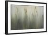 Cat of Seven Tails-Kari Taylor-Framed Giclee Print