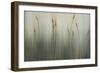 Cat of Seven Tails-Kari Taylor-Framed Giclee Print