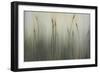 Cat of Seven Tails-Kari Taylor-Framed Giclee Print