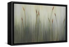 Cat of Seven Tails-Kari Taylor-Framed Stretched Canvas