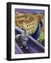 Cat of Venice (Chat de Venise)-Isy Ochoa-Framed Giclee Print