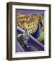 Cat of Venice (Chat de Venise)-Isy Ochoa-Framed Giclee Print