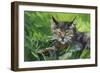 Cat Oil Painting.-Anna Pismenskova-Framed Photographic Print