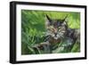 Cat Oil Painting.-Anna Pismenskova-Framed Photographic Print