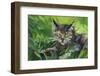 Cat Oil Painting.-Anna Pismenskova-Framed Premium Photographic Print