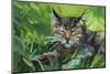 Cat Oil Painting.-Anna Pismenskova-Mounted Premium Photographic Print