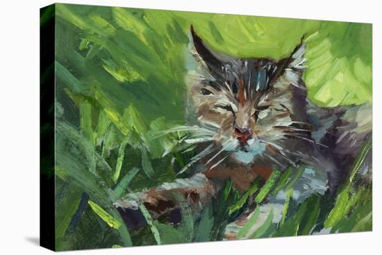 Cat Oil Painting.-Anna Pismenskova-Stretched Canvas