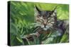 Cat Oil Painting.-Anna Pismenskova-Stretched Canvas