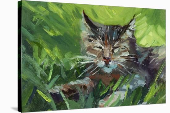 Cat Oil Painting.-Anna Pismenskova-Stretched Canvas