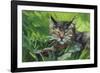 Cat Oil Painting.-Anna Pismenskova-Framed Photographic Print