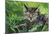 Cat Oil Painting.-Anna Pismenskova-Mounted Photographic Print