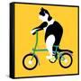 Cat On A Brompton Bike-Claire Huntley-Framed Stretched Canvas