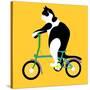 Cat On A Brompton Bike-Claire Huntley-Stretched Canvas