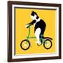 Cat On A Brompton Bike-Claire Huntley-Framed Giclee Print