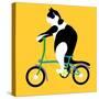 Cat On A Brompton Bike-Claire Huntley-Stretched Canvas