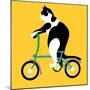 Cat On A Brompton Bike-Claire Huntley-Mounted Premium Giclee Print