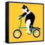 Cat On A Brompton Bike-Claire Huntley-Framed Stretched Canvas