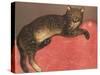 Cat on a Cusion-Th?hile Alexandre Steinlen-Stretched Canvas