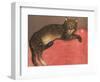 Cat on a Cusion-Th?hile Alexandre Steinlen-Framed Art Print