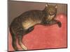 Cat on a Cusion-Th?hile Alexandre Steinlen-Mounted Art Print