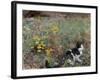 Cat on a Flowery Meadow, 1887, by Bruno Liljefors, 1860–1939, Swedish painting,-Bruno Liljefors-Framed Art Print