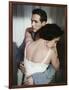 Cat on a Hot Tin Roof 1958 Directed by Richard Brooks Elizabeth Taylor and Paul Newman-null-Framed Photo